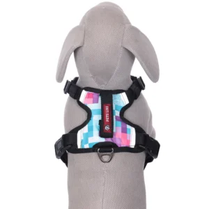 Pets Like Padded Double Side Harness for Dogs (Blue)