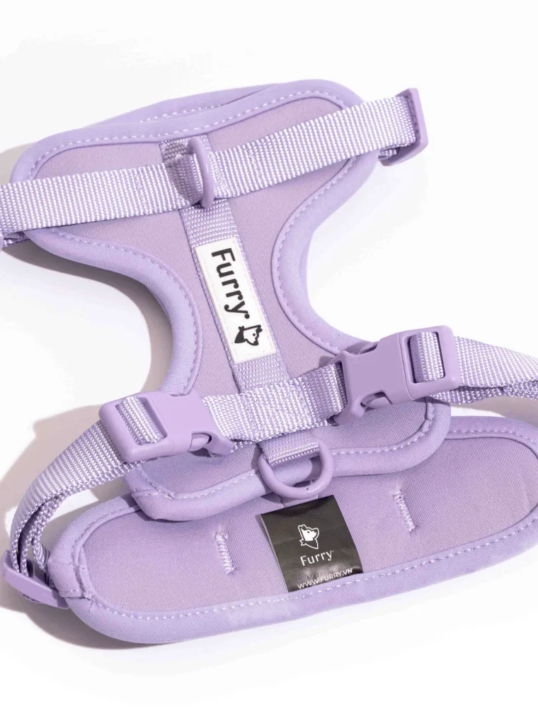 Furry & Co Bold Harness for Dogs (Lilac)